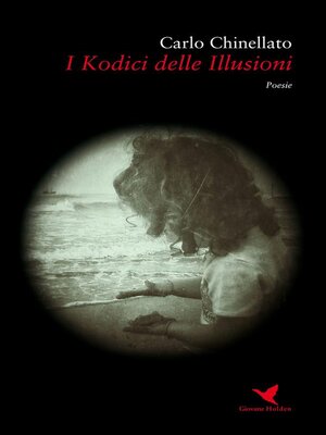 cover image of I Kodici delle Illusioni